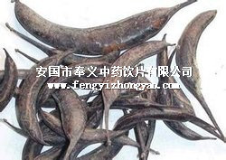 猪牙皂