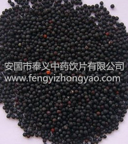 王不留行
