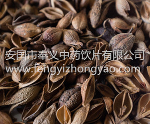 连翘