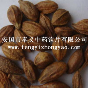 诃子