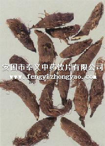 盐补骨脂