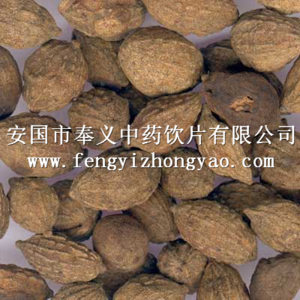 益智仁