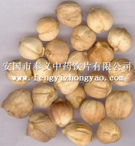 豆蒄（白）