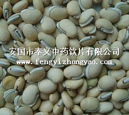 白扁豆