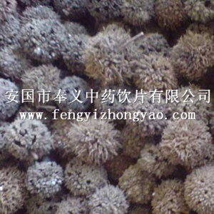 路路通