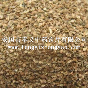 蛇床子