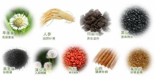 中药养生保健,中药材价格,中药材批发,中药饮片