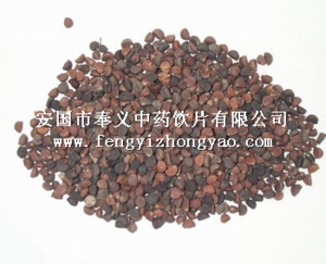 牵牛子