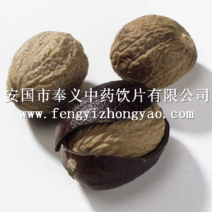 肉豆蒄